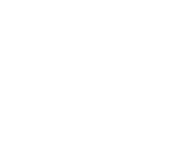 Des Pas Des Bêtes